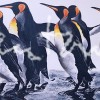 Desfile de pingüinos