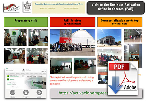 Grundtvig Visits PAE Poster