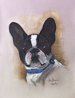 Bona, bulldog francés. Pintura al pastel sobre papel (50x65 cm.)